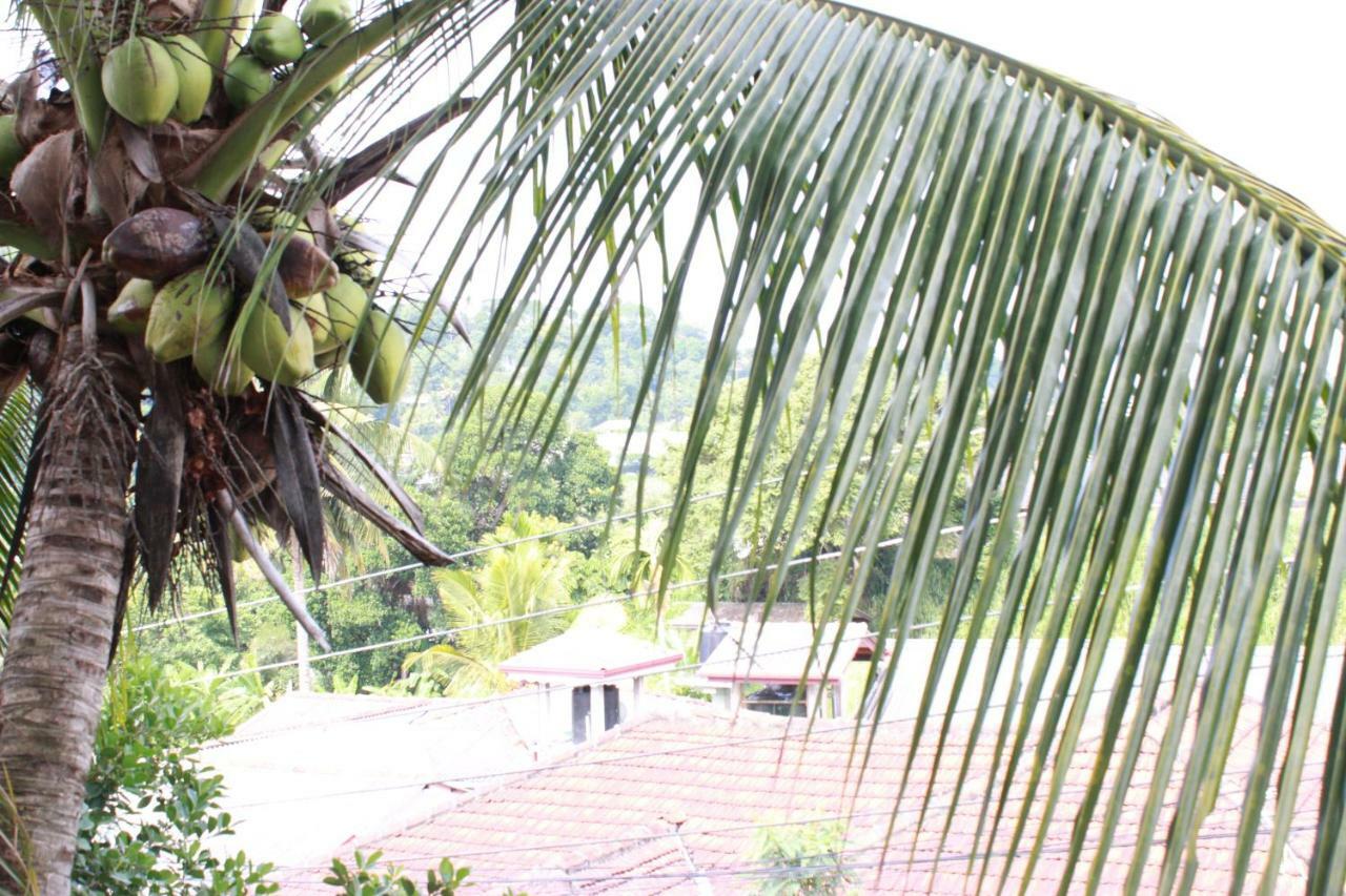 Resident View Homestay Kandy Bagian luar foto